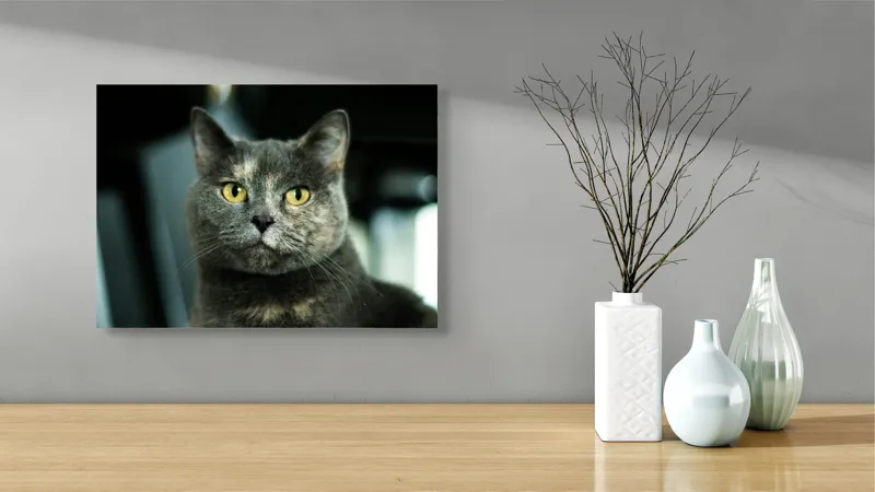 Tablou Canvas, "Misterul privirii feline enigmatic", Nu pot să îți spun cine e în imagine, dar pot să te ajut cu altceva legat de pisici sau fotografie., 54 x 39 cm – poza 3