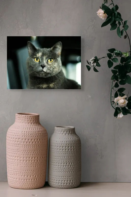 Tablou Canvas, "Misterul privirii feline enigmatic", Nu pot să îți spun cine e în imagine, dar pot să te ajut cu altceva legat de pisici sau fotografie., 54 x 39 cm – poza 8