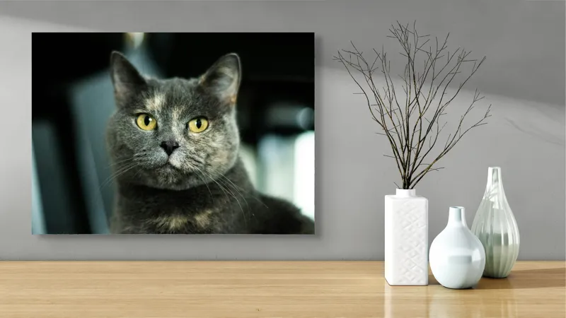 Tablou Canvas, "Misterul privirii feline enigmatic", Nu pot să îți spun cine e în imagine, dar pot să te ajut cu altceva legat de pisici sau fotografie., 70 x 50 cm – poza 3