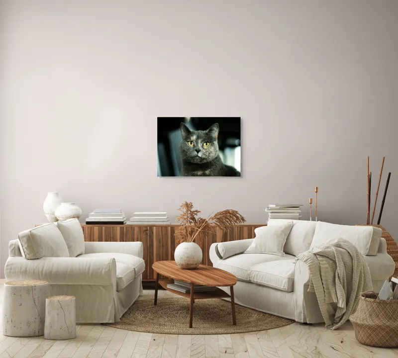 Tablou Canvas, "Misterul privirii feline enigmatic", Nu pot să îți spun cine e în imagine, dar pot să te ajut cu altceva legat de pisici sau fotografie., 70 x 50 cm – poza 6