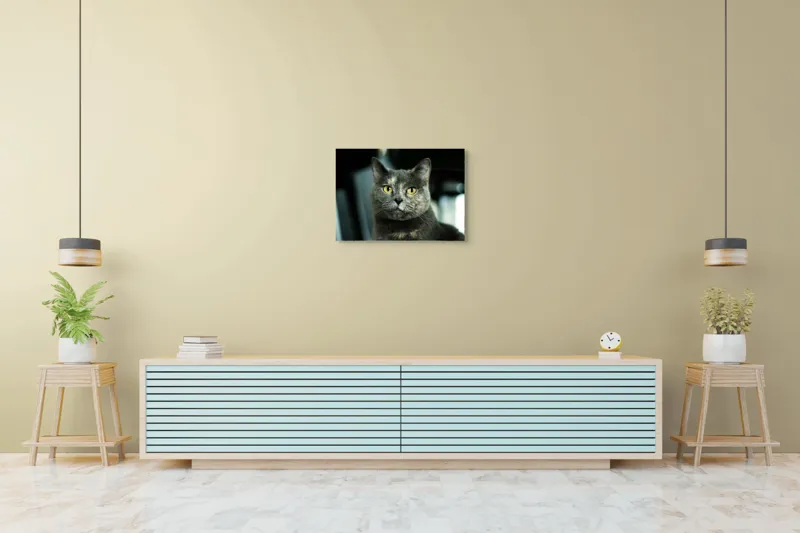 Tablou Canvas, "Misterul privirii feline enigmatic", Nu pot să îți spun cine e în imagine, dar pot să te ajut cu altceva legat de pisici sau fotografie., 70 x 50 cm – poza 7