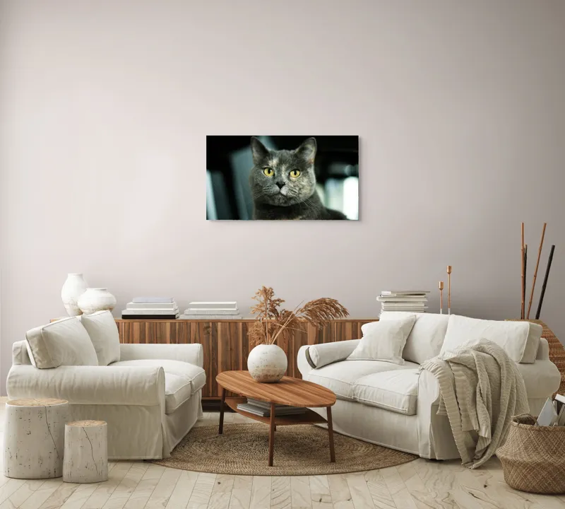Tablou Canvas, "Misterul privirii feline enigmatic", Nu pot să îți spun cine e în imagine, dar pot să te ajut cu altceva legat de pisici sau fotografie., 90 x 50 cm – poza 4