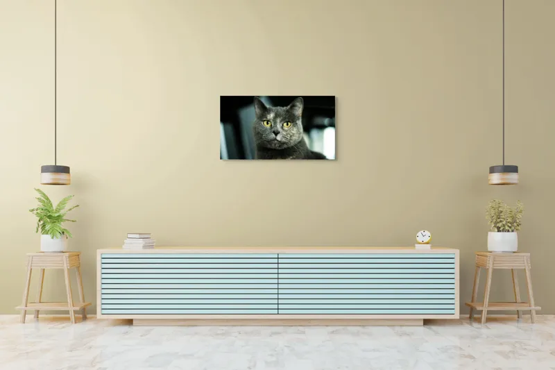 Tablou Canvas, "Misterul privirii feline enigmatic", Nu pot să îți spun cine e în imagine, dar pot să te ajut cu altceva legat de pisici sau fotografie., 90 x 50 cm – poza 5
