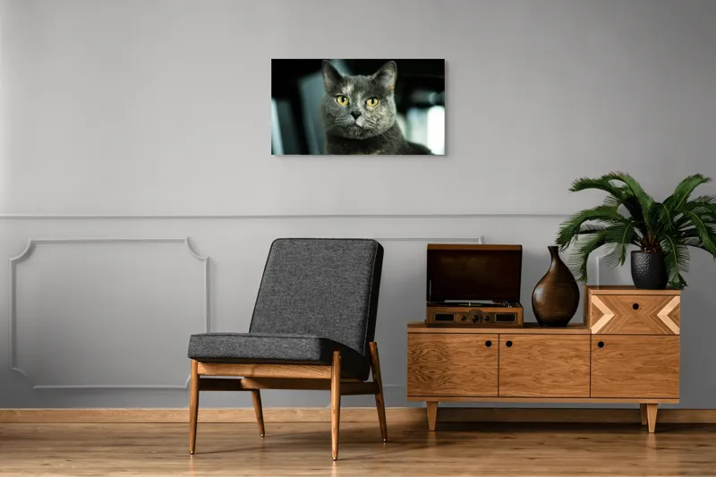 Tablou Canvas, "Misterul privirii feline enigmatic", Nu pot să îți spun cine e în imagine, dar pot să te ajut cu altceva legat de pisici sau fotografie., 90 x 50 cm – poza 6