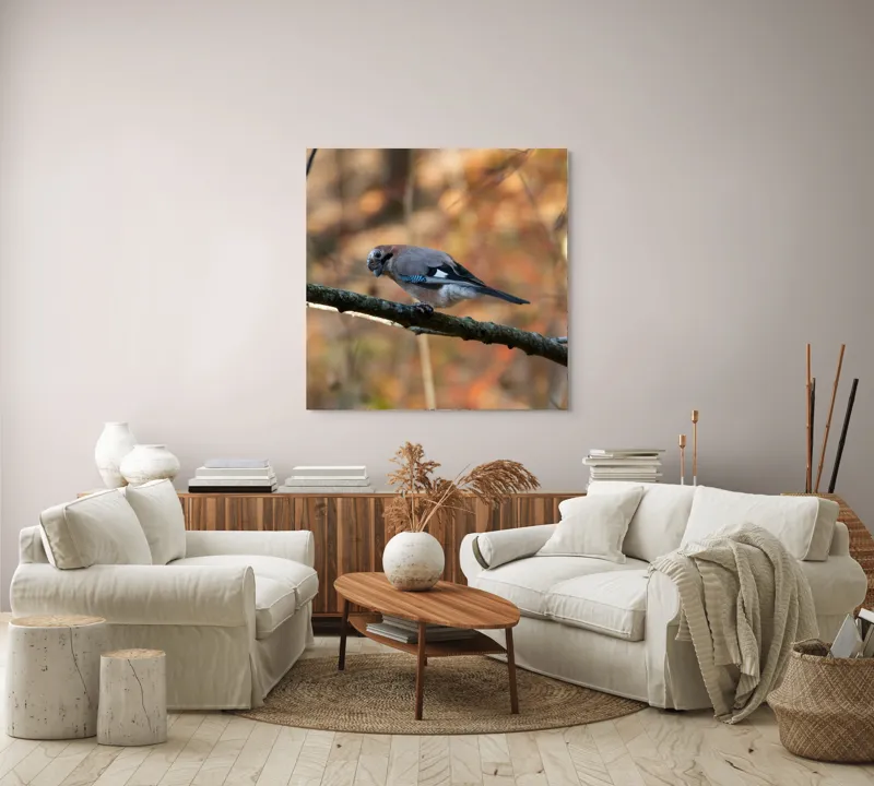 Tablou Canvas, "Pasărea contemplativă în pădurea de toamnă", Pasăre, Ramură, Penaj, Pădure, Toamnă, Culoare, Linie, Penaj, Observare, 100 x 100 cm – poza 3