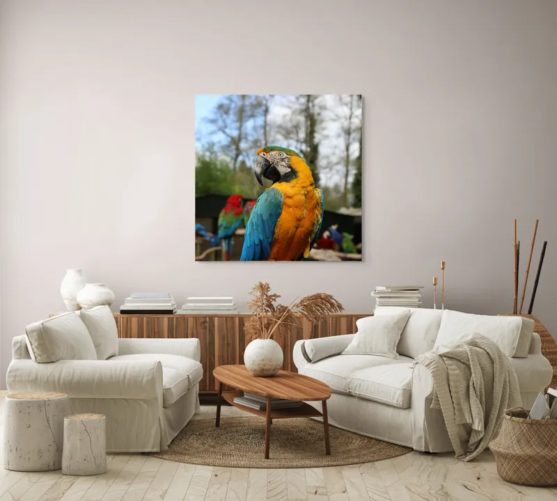 Tablou Canvas, "Papagalul Ara în lumina soarelui", Pasăre, Papagal, Colorat, Albastru, Galben, Natură, Pene, Frumos, Viu, Ținută, Ramură, 100 x 100 cm – poza 3