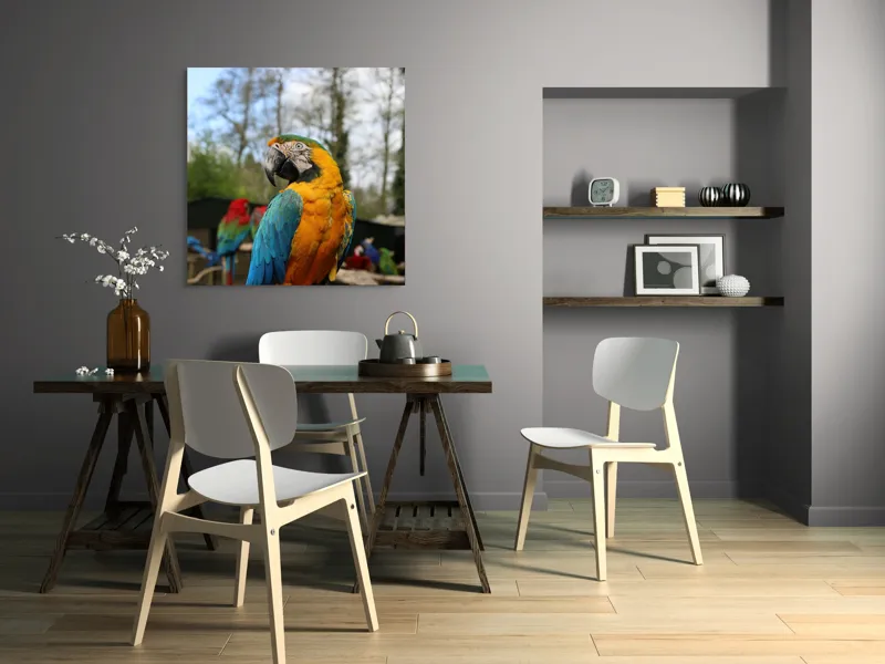 Tablou Canvas, "Papagalul Ara în lumina soarelui", Pasăre, Papagal, Colorat, Albastru, Galben, Natură, Pene, Frumos, Viu, Ținută, Ramură, 100 x 100 cm – poza 6