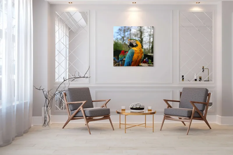 Tablou Canvas, "Papagalul Ara în lumina soarelui", Pasăre, Papagal, Colorat, Albastru, Galben, Natură, Pene, Frumos, Viu, Ținută, Ramură, 100 x 100 cm – poza 7