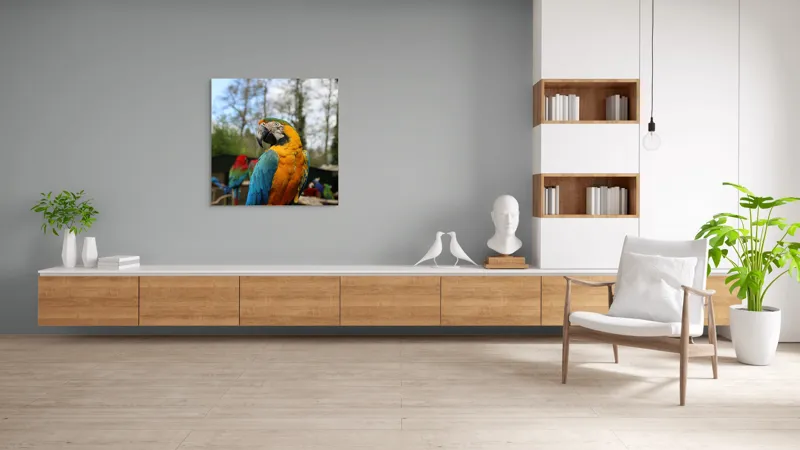 Tablou Canvas, "Papagalul Ara în lumina soarelui", Pasăre, Papagal, Colorat, Albastru, Galben, Natură, Pene, Frumos, Viu, Ținută, Ramură, 100 x 100 cm – poza 8