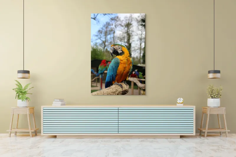 Tablou Canvas, "Papagalul Ara în lumina soarelui", Pasăre, Papagal, Colorat, Albastru, Galben, Natură, Pene, Frumos, Viu, Ținută, Ramură, 100 x 150 cm – poza 4