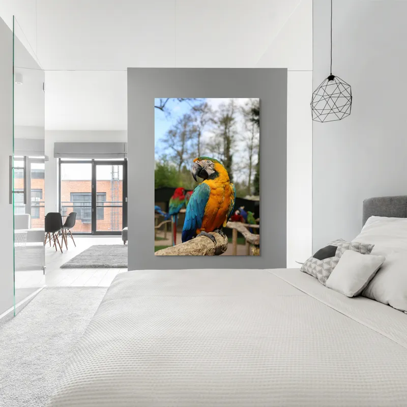 Tablou Canvas, "Papagalul Ara în lumina soarelui", Pasăre, Papagal, Colorat, Albastru, Galben, Natură, Pene, Frumos, Viu, Ținută, Ramură, 100 x 150 cm – poza 5