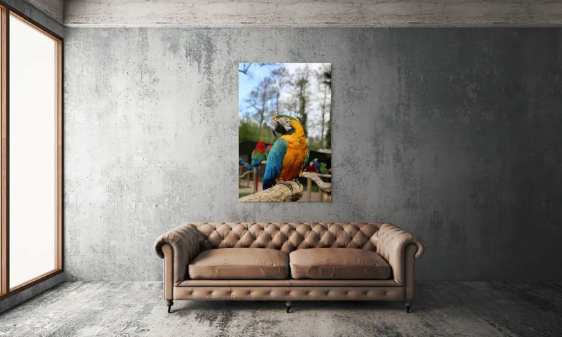 Tablou Canvas, "Papagalul Ara în lumina soarelui", Pasăre, Papagal, Colorat, Albastru, Galben, Natură, Pene, Frumos, Viu, Ținută, Ramură, 100 x 150 cm – poza 6