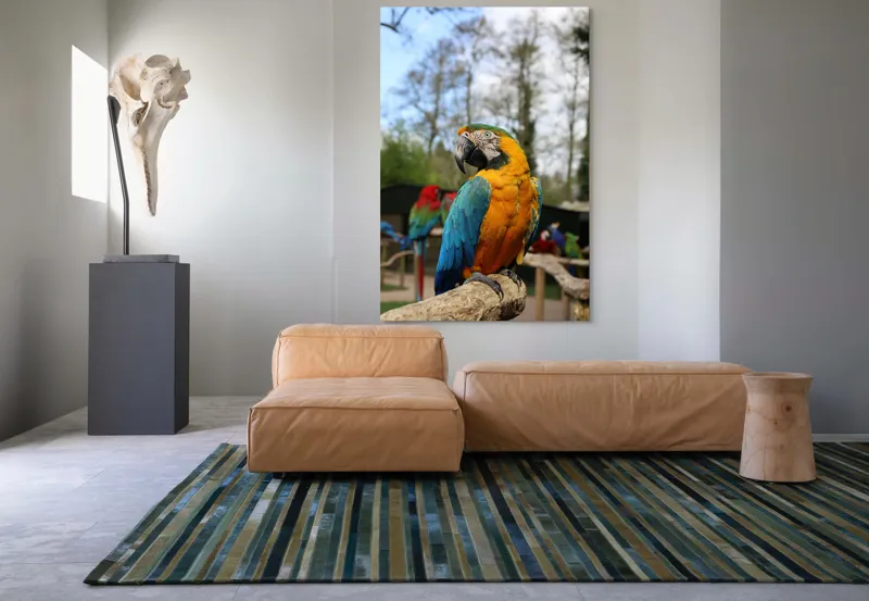 Tablou Canvas, "Papagalul Ara în lumina soarelui", Pasăre, Papagal, Colorat, Albastru, Galben, Natură, Pene, Frumos, Viu, Ținută, Ramură, 100 x 150 cm – poza 7