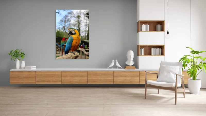 Tablou Canvas, "Papagalul Ara în lumina soarelui", Pasăre, Papagal, Colorat, Albastru, Galben, Natură, Pene, Frumos, Viu, Ținută, Ramură, 100 x 150 cm – poza 8