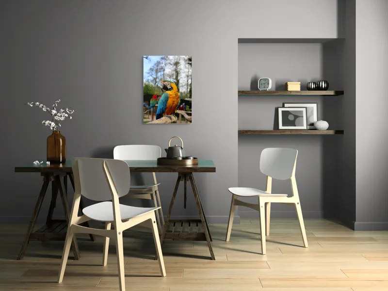 Tablou Canvas, "Papagalul Ara în lumina soarelui", Pasăre, Papagal, Colorat, Albastru, Galben, Natură, Pene, Frumos, Viu, Ținută, Ramură, 50 x 70 cm – poza 5