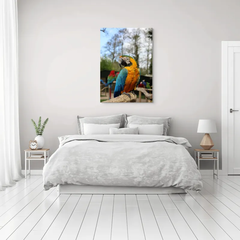 Tablou Canvas, "Papagalul Ara în lumina soarelui", Pasăre, Papagal, Colorat, Albastru, Galben, Natură, Pene, Frumos, Viu, Ținută, Ramură, 70 x 100 cm – poza 3