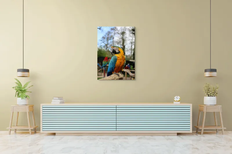 Tablou Canvas, "Papagalul Ara în lumina soarelui", Pasăre, Papagal, Colorat, Albastru, Galben, Natură, Pene, Frumos, Viu, Ținută, Ramură, 70 x 100 cm – poza 5