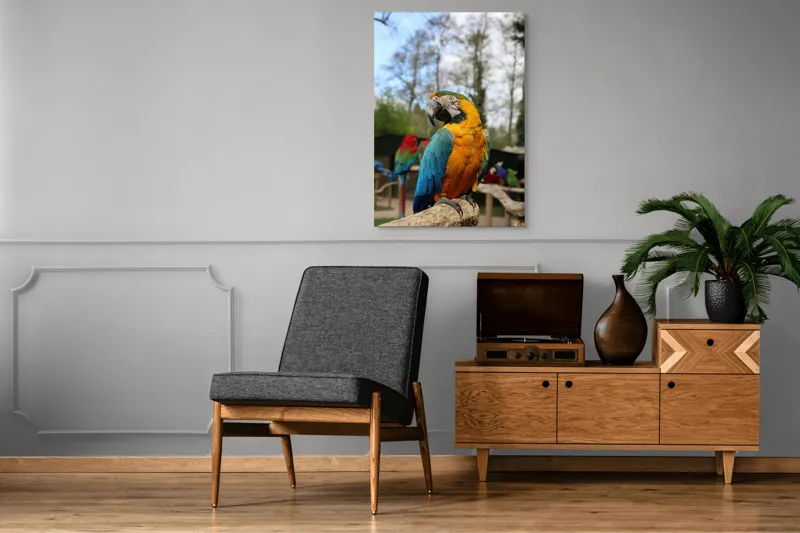 Tablou Canvas, "Papagalul Ara în lumina soarelui", Pasăre, Papagal, Colorat, Albastru, Galben, Natură, Pene, Frumos, Viu, Ținută, Ramură, 70 x 100 cm – poza 6