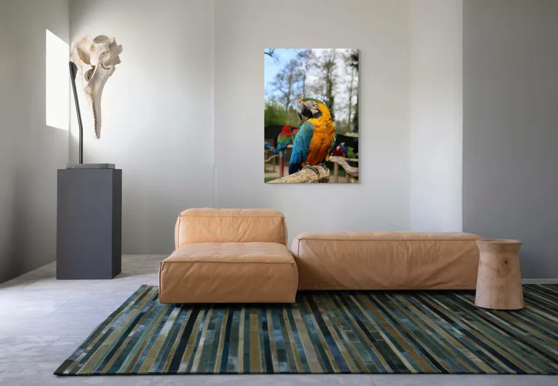 Tablou Canvas, "Papagalul Ara în lumina soarelui", Pasăre, Papagal, Colorat, Albastru, Galben, Natură, Pene, Frumos, Viu, Ținută, Ramură, 70 x 100 cm – poza 7