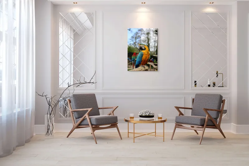 Tablou Canvas, "Papagalul Ara în lumina soarelui", Pasăre, Papagal, Colorat, Albastru, Galben, Natură, Pene, Frumos, Viu, Ținută, Ramură, 70 x 100 cm – poza 8