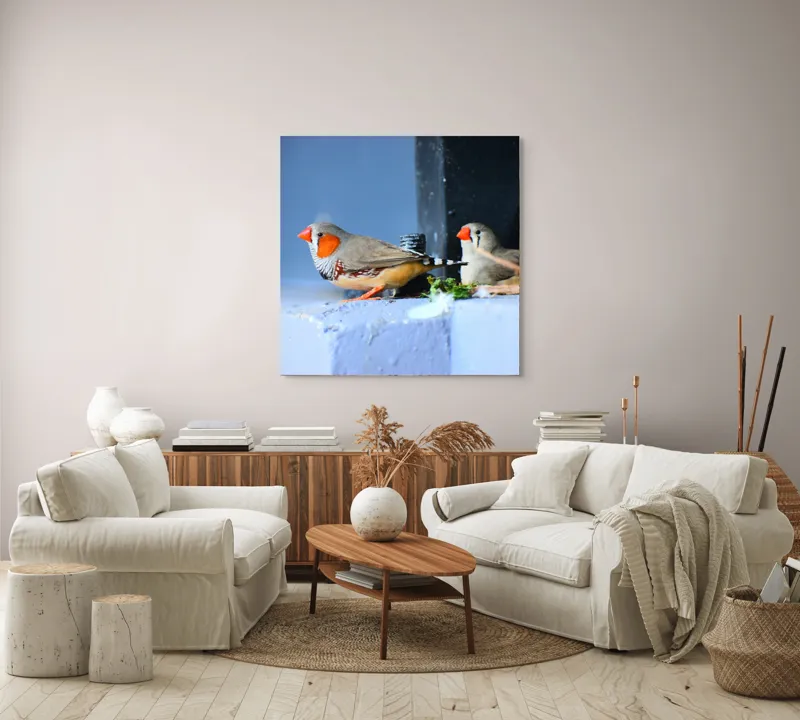 Tablou Canvas, "Păsări în așteptarea zborului liber", Pasari, Culori, Cuib, Aripi, Masca, Cioc, Pereti, Natura, Penaj, 100 x 100 cm – poza 3