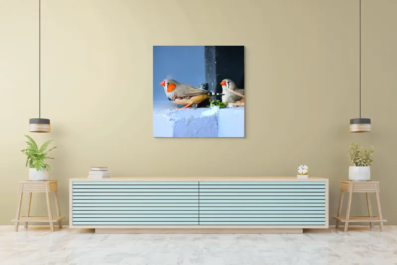 Tablou Canvas, "Păsări în așteptarea zborului liber", Pasari, Culori, Cuib, Aripi, Masca, Cioc, Pereti, Natura, Penaj, 100 x 100 cm – poza 5