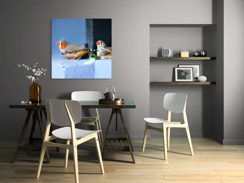 Tablou Canvas, "Păsări în așteptarea zborului liber", Pasari, Culori, Cuib, Aripi, Masca, Cioc, Pereti, Natura, Penaj, 100 x 100 cm – poza 6