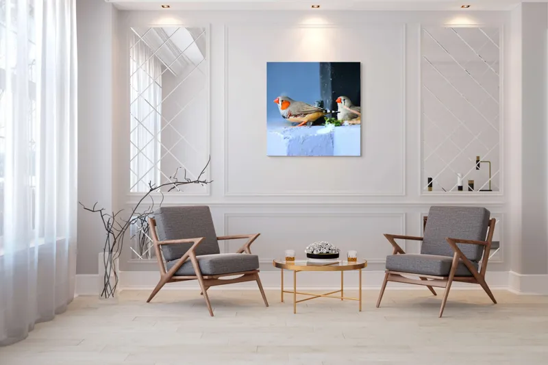 Tablou Canvas, "Păsări în așteptarea zborului liber", Pasari, Culori, Cuib, Aripi, Masca, Cioc, Pereti, Natura, Penaj, 100 x 100 cm – poza 7