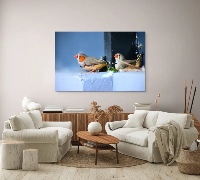 Tablou Canvas, "Păsări în așteptarea zborului liber", Pasari, Culori, Cuib, Aripi, Masca, Cioc, Pereti, Natura, Penaj, 150 x 100 cm – poza 3