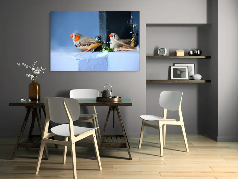 Tablou Canvas, "Păsări în așteptarea zborului liber", Pasari, Culori, Cuib, Aripi, Masca, Cioc, Pereti, Natura, Penaj, 150 x 100 cm – poza 5