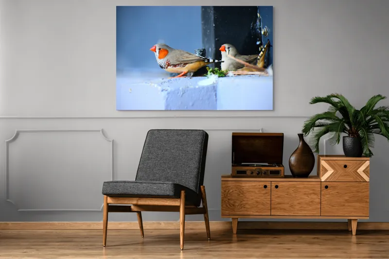 Tablou Canvas, "Păsări în așteptarea zborului liber", Pasari, Culori, Cuib, Aripi, Masca, Cioc, Pereti, Natura, Penaj, 150 x 100 cm – poza 8