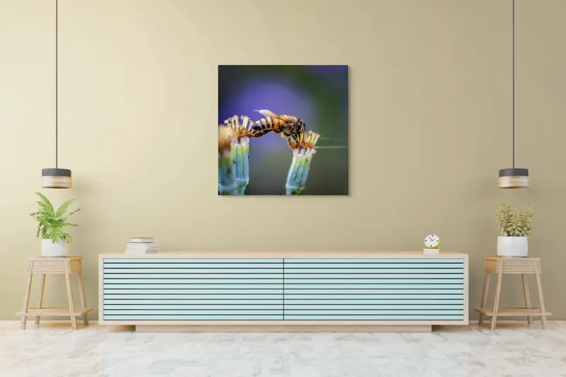Tablou Canvas, "Albina lucrătoare pe floare delicată", Albină, Polen, Flori, Natural, Fragilitate, Echilibru, Natură, Violet, Verde, Antene, Aripi, 100 x 100 cm – poza 5