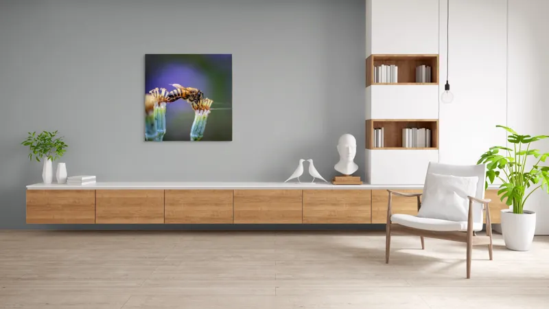 Tablou Canvas, "Albina lucrătoare pe floare delicată", Albină, Polen, Flori, Natural, Fragilitate, Echilibru, Natură, Violet, Verde, Antene, Aripi, 100 x 100 cm – poza 8