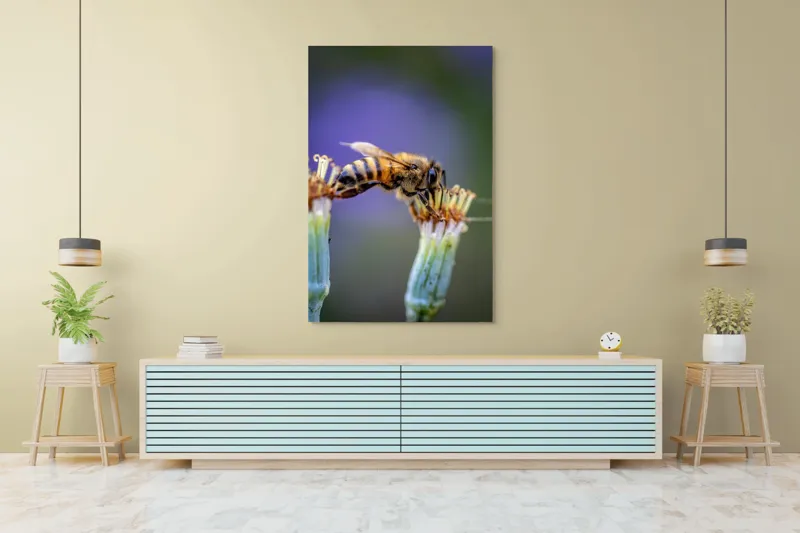 Tablou Canvas, "Albina lucrătoare pe floare delicată", Albină, Polen, Flori, Natural, Fragilitate, Echilibru, Natură, Violet, Verde, Antene, Aripi, 100 x 150 cm – poza 4