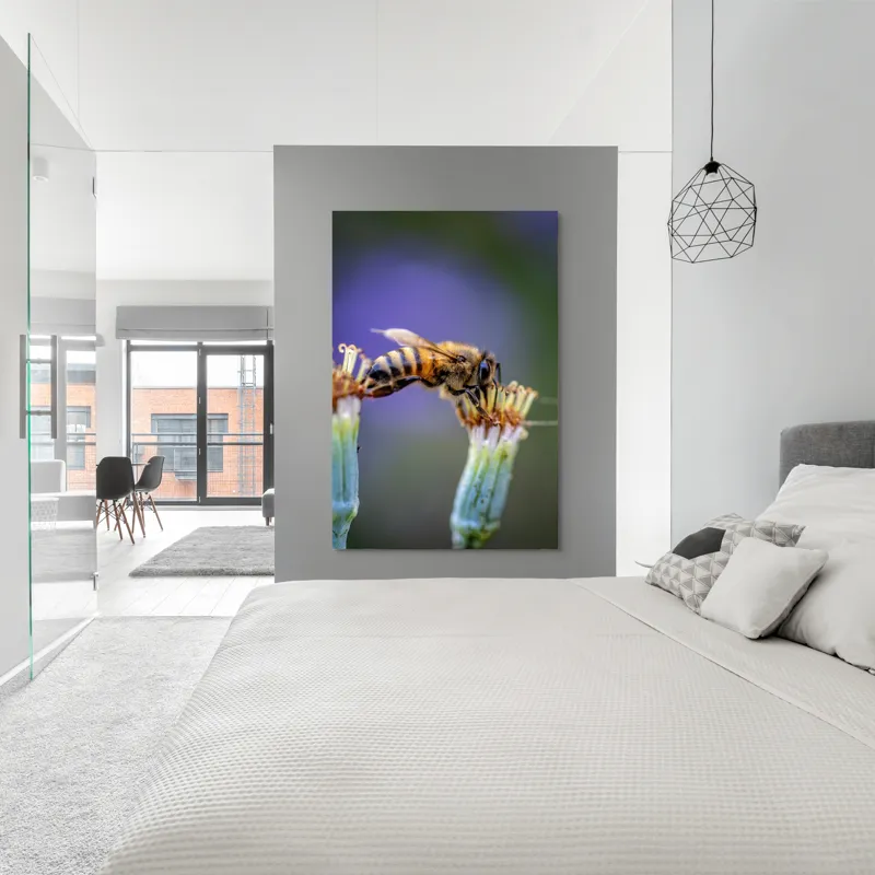 Tablou Canvas, "Albina lucrătoare pe floare delicată", Albină, Polen, Flori, Natural, Fragilitate, Echilibru, Natură, Violet, Verde, Antene, Aripi, 100 x 150 cm – poza 5