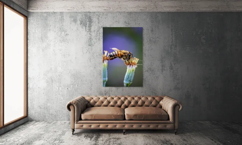 Tablou Canvas, "Albina lucrătoare pe floare delicată", Albină, Polen, Flori, Natural, Fragilitate, Echilibru, Natură, Violet, Verde, Antene, Aripi, 100 x 150 cm – poza 6