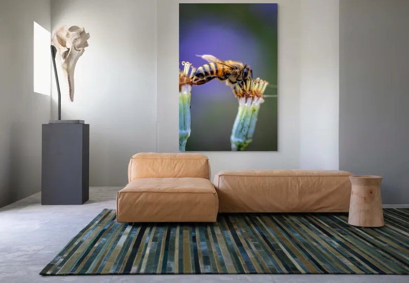 Tablou Canvas, "Albina lucrătoare pe floare delicată", Albină, Polen, Flori, Natural, Fragilitate, Echilibru, Natură, Violet, Verde, Antene, Aripi, 100 x 150 cm – poza 7