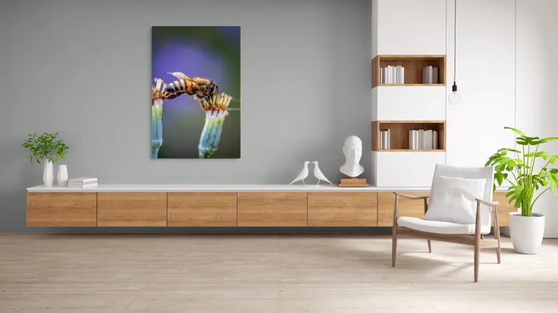 Tablou Canvas, "Albina lucrătoare pe floare delicată", Albină, Polen, Flori, Natural, Fragilitate, Echilibru, Natură, Violet, Verde, Antene, Aripi, 100 x 150 cm – poza 8