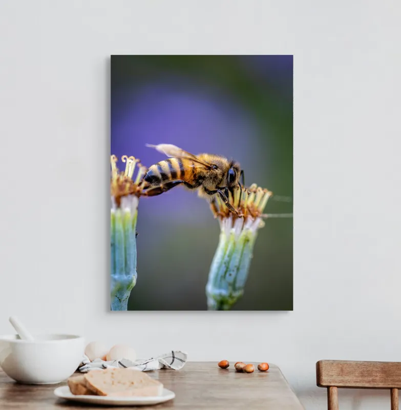 Tablou Canvas, "Albina lucrătoare pe floare delicată", Albină, Polen, Flori, Natural, Fragilitate, Echilibru, Natură, Violet, Verde, Antene, Aripi, 50 x 70 cm – poza 3