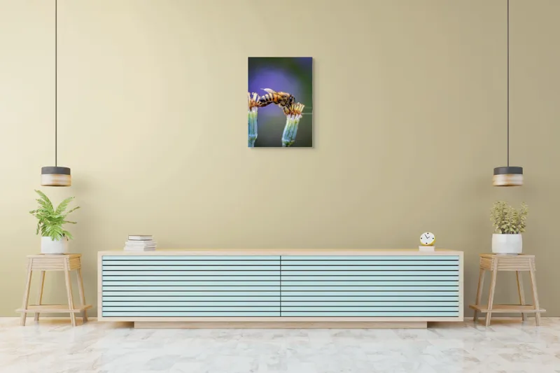 Tablou Canvas, "Albina lucrătoare pe floare delicată", Albină, Polen, Flori, Natural, Fragilitate, Echilibru, Natură, Violet, Verde, Antene, Aripi, 50 x 70 cm – poza 6
