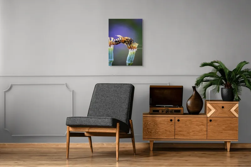 Tablou Canvas, "Albina lucrătoare pe floare delicată", Albină, Polen, Flori, Natural, Fragilitate, Echilibru, Natură, Violet, Verde, Antene, Aripi, 50 x 70 cm – poza 8