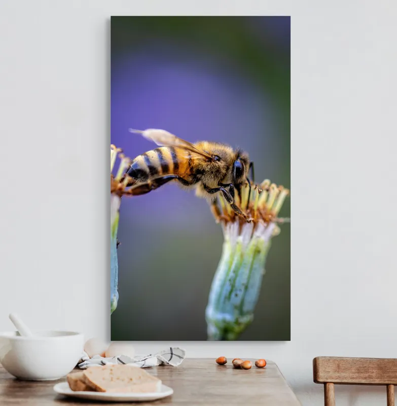 Tablou Canvas, "Albina lucrătoare pe floare delicată", Albină, Polen, Flori, Natural, Fragilitate, Echilibru, Natură, Violet, Verde, Antene, Aripi, 50 x 90 cm – poza 3