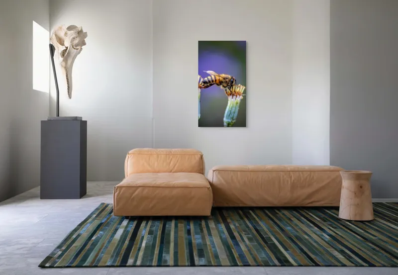 Tablou Canvas, "Albina lucrătoare pe floare delicată", Albină, Polen, Flori, Natural, Fragilitate, Echilibru, Natură, Violet, Verde, Antene, Aripi, 50 x 90 cm – poza 5
