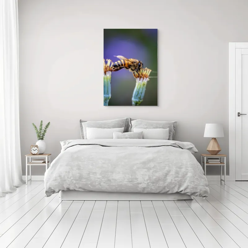 Tablou Canvas, "Albina lucrătoare pe floare delicată", Albină, Polen, Flori, Natural, Fragilitate, Echilibru, Natură, Violet, Verde, Antene, Aripi, 70 x 100 cm – poza 3