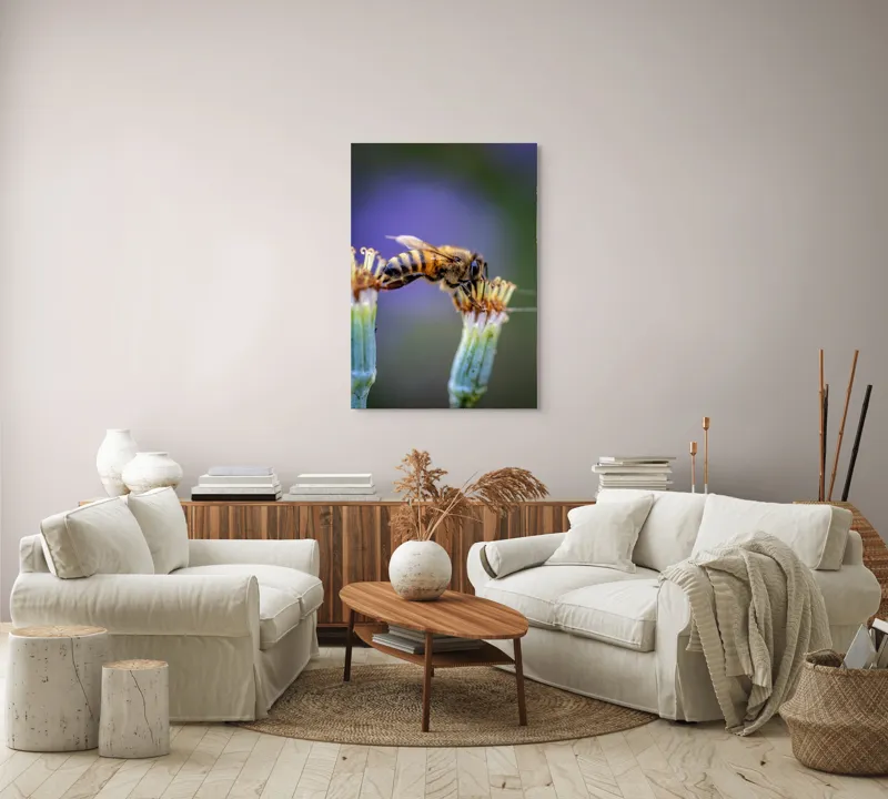 Tablou Canvas, "Albina lucrătoare pe floare delicată", Albină, Polen, Flori, Natural, Fragilitate, Echilibru, Natură, Violet, Verde, Antene, Aripi, 70 x 100 cm – poza 4