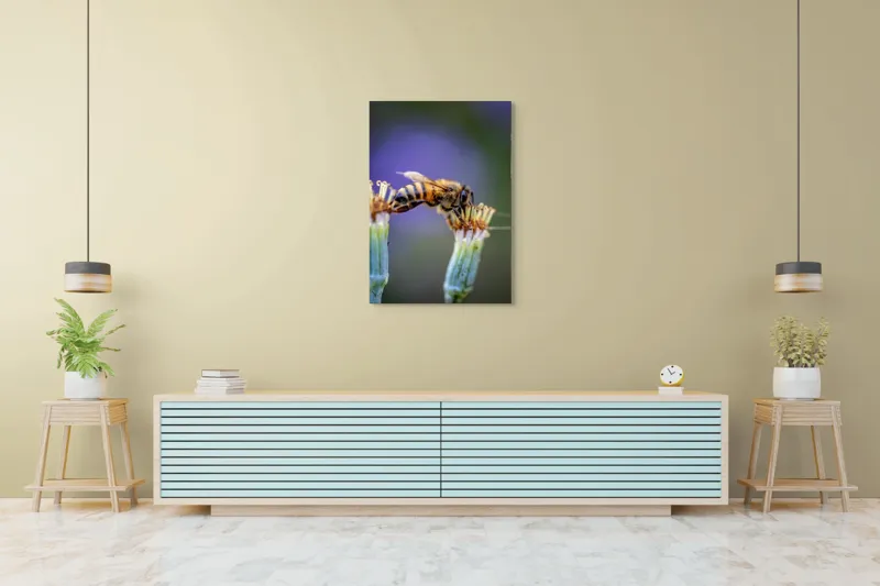 Tablou Canvas, "Albina lucrătoare pe floare delicată", Albină, Polen, Flori, Natural, Fragilitate, Echilibru, Natură, Violet, Verde, Antene, Aripi, 70 x 100 cm – poza 5