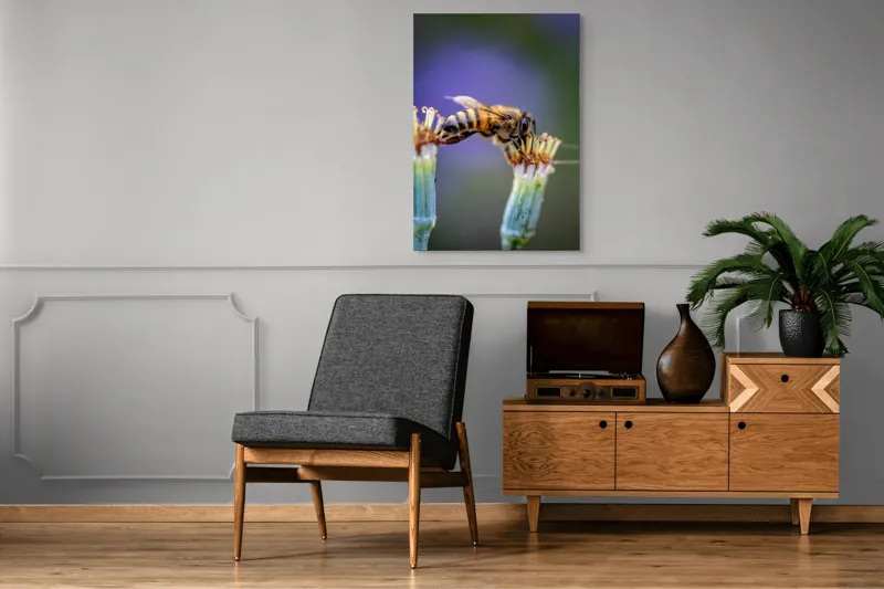 Tablou Canvas, "Albina lucrătoare pe floare delicată", Albină, Polen, Flori, Natural, Fragilitate, Echilibru, Natură, Violet, Verde, Antene, Aripi, 70 x 100 cm – poza 6