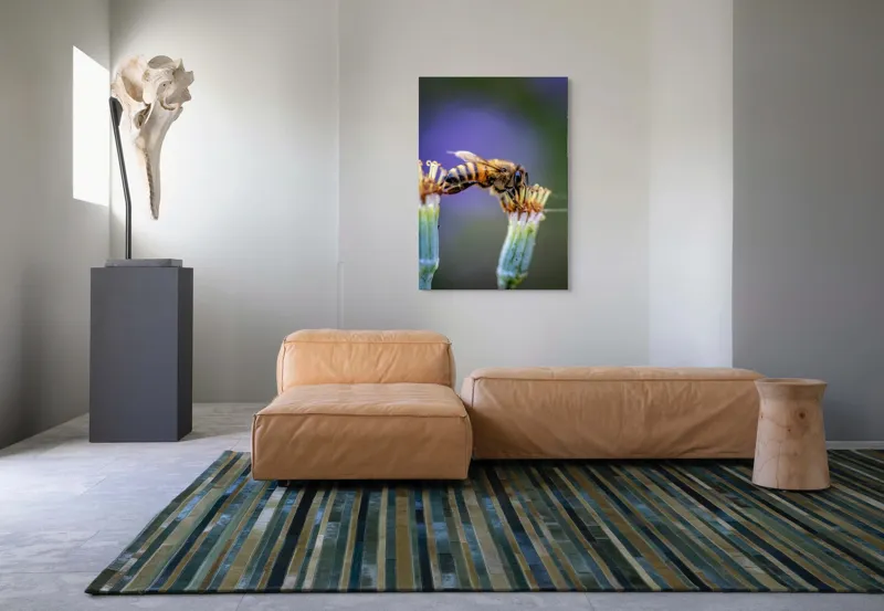 Tablou Canvas, "Albina lucrătoare pe floare delicată", Albină, Polen, Flori, Natural, Fragilitate, Echilibru, Natură, Violet, Verde, Antene, Aripi, 70 x 100 cm – poza 7