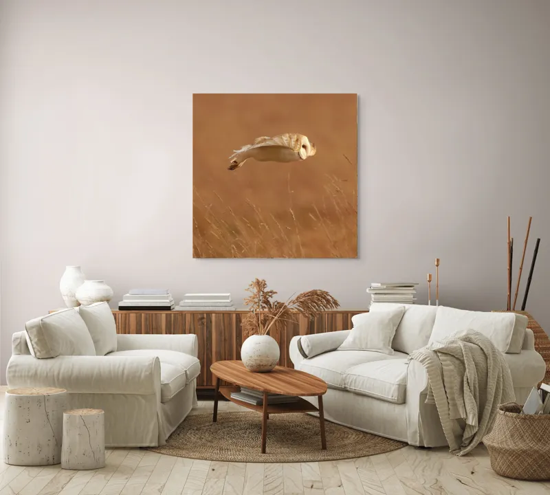 Tablou Canvas, "Bufnița în zbor de seară liniștită", Bufniță, Zbor, Câmpie, Vânătoare, Timp, Natură, Liniște, Eleganță, 100 x 100 cm – poza 3
