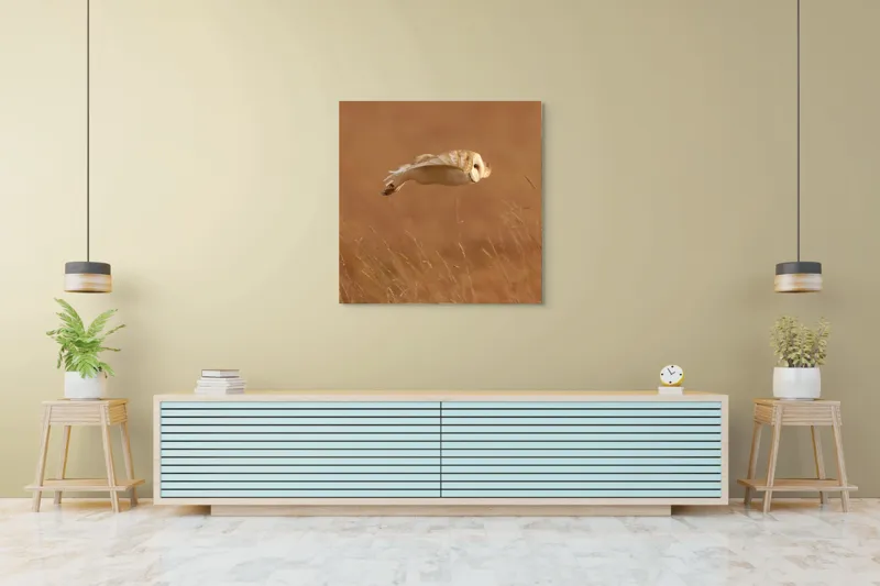 Tablou Canvas, "Bufnița în zbor de seară liniștită", Bufniță, Zbor, Câmpie, Vânătoare, Timp, Natură, Liniște, Eleganță, 100 x 100 cm – poza 5